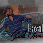 Cavid Memmedov Belaliyam