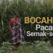 Bocil Ewean