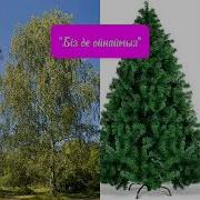 Біз Ойнаймыз