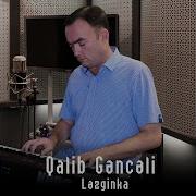 Qalib Genceli