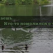 Алена Ваймер