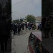 Туйена Конибодом