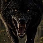 Песня Сильнее Тишины