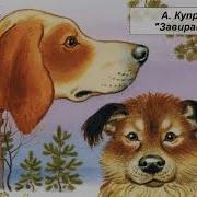 Завирайка Куприн