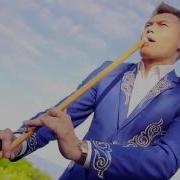 Курай Попурри