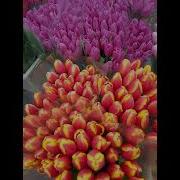 Ищите Радость В Мелочах