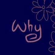 Why Not Me Meme