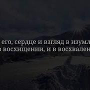 Поэмы На Арабском