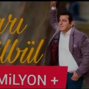 Meydan Esgerov Sarı Bulbul