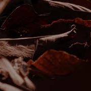 Serj Lazar Heart Strings