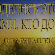 Берегите Выбранных Душой