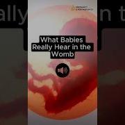 Pregnant Low Voice