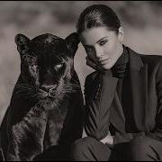 Andex Disco My Only Love