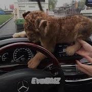 Money Talks Slowed Reverb