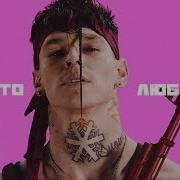 Любимка Нилетто