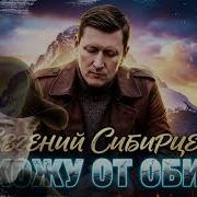 Евгений Сибирцев