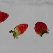 Red Berries Are Falling Into The Water