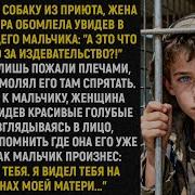 Приятный Вечер Рассказы