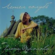 Летел Голубь