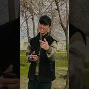 Дасти Мо Намак Надошт