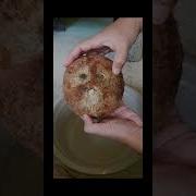 Coconut Cracked Version