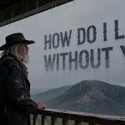How Do I Live Without You