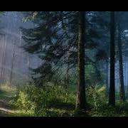 Муромским Лесом Купцы