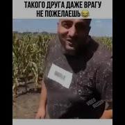 Воруют Кукурузу