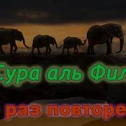 Сура Аль Филь 100 Раз