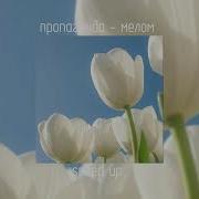 Пропаганда Мелом Nightcore Speed Up