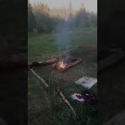 Ебанет Не Должно