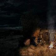 Приключения Бёрша