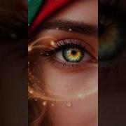 Sukur Sene Allahim Mahnisi