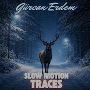 Gurcan Slow Motion Traces