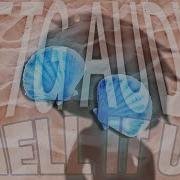 Animal Tf Audio Transformation