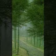 Музыка Для Психогимнастики