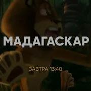 Мадагаскар Стс