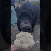 Я Люблю Вкусный Еда
