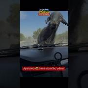 Чингиз Тракторчи Братым