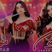 Meharnaz Labani Sherin