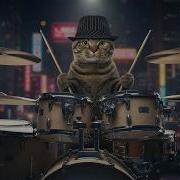 Черная Кошка На Бродвее