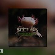Seether No Shelter
