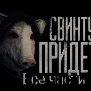Свинтус Придет 1