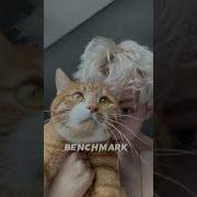 Ты Меня Пленила Speed Up