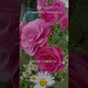 Незаменимых Заменили