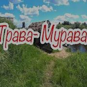 Трава Мурава Братья Радченко