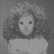 Slowed Reverb Mr Kitty