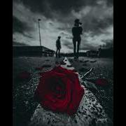 Ман Гурурамро Шикастам