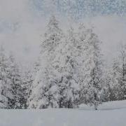 Synthesis Warrior Of Light