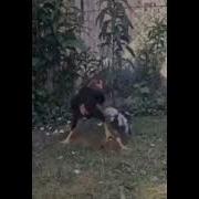 Дакан Чанг То Мирданшона